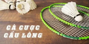 Hướng Dẫn Cách Chơi Cá Cược Cầu Lông Tại Fun88 Chuẩn Xác Nhất