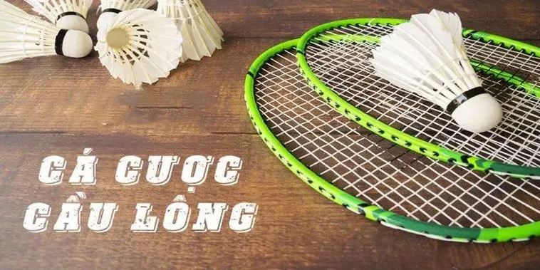 Hướng Dẫn Cách Chơi Cá Cược Cầu Lông Tại Fun88 Chuẩn Xác Nhất