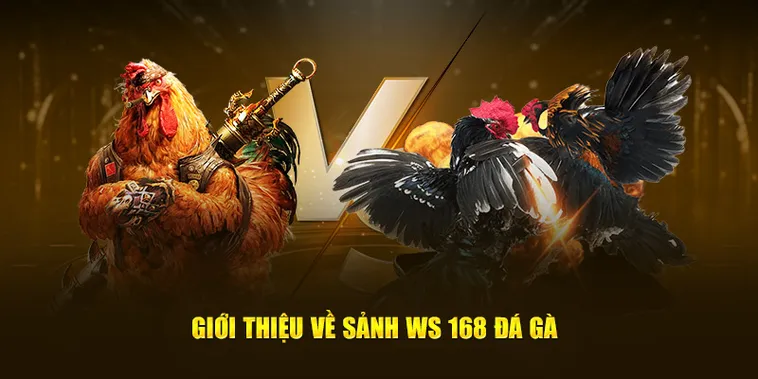 Cách Chơi Đá Gà WS168 Tại Fun88 Hấp Dẫn Cho Người Mới Bắt Đầu 2 Cách Chơi Đá Gà WS168 Tại Fun88 Hấp Dẫn Cho Người Mới Bắt Đầu