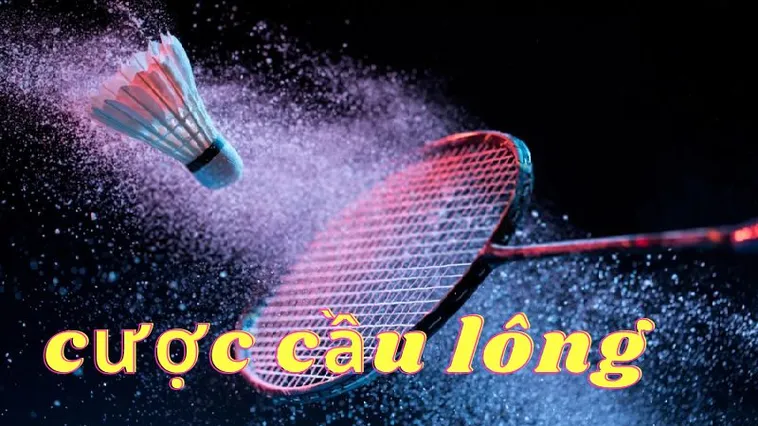 Hướng Dẫn Cách Chơi Cá Cược Cầu Lông Tại Fun88 Chuẩn Xác Nhất 2 Hướng Dẫn Cách Chơi Cá Cược Cầu Lông Tại Fun88 Chuẩn Xác Nhất