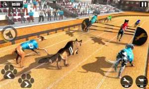 Cách Chơi Game Nhanh Đua Chó Tại Fun88 Thắng Lớn Nhanh Chóng