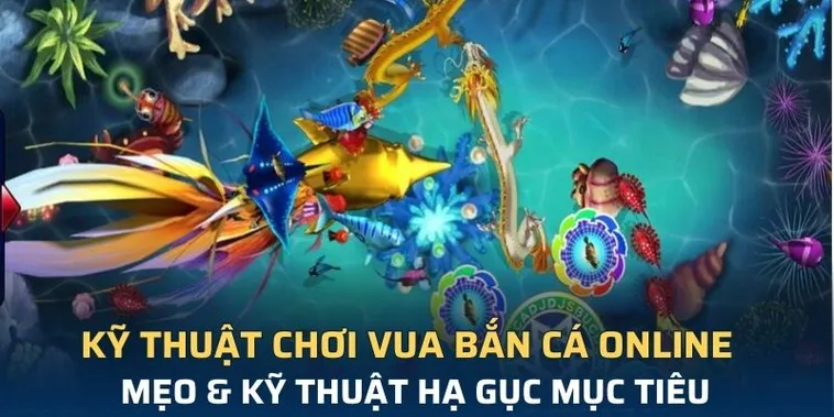 Cách Chơi Vua Bắn Cá Tại Fun88 Thắng Lớn Dành Cho Tân Thủ 2 Cách Chơi Vua Bắn Cá Tại Fun88 Thắng Lớn Dành Cho Tân Thủ